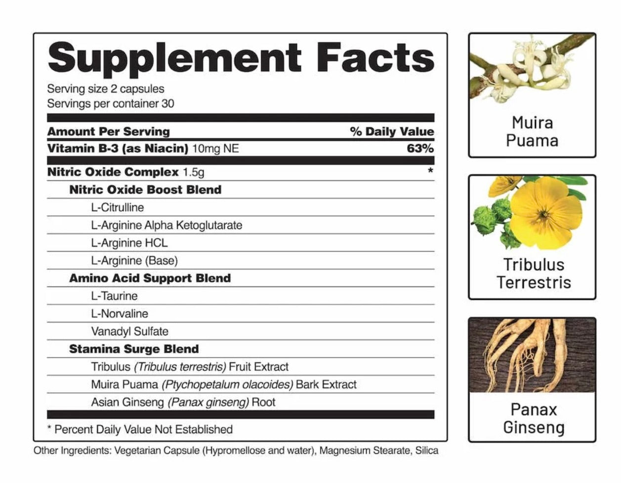 Nitric Oxide | The Pump Maximizer